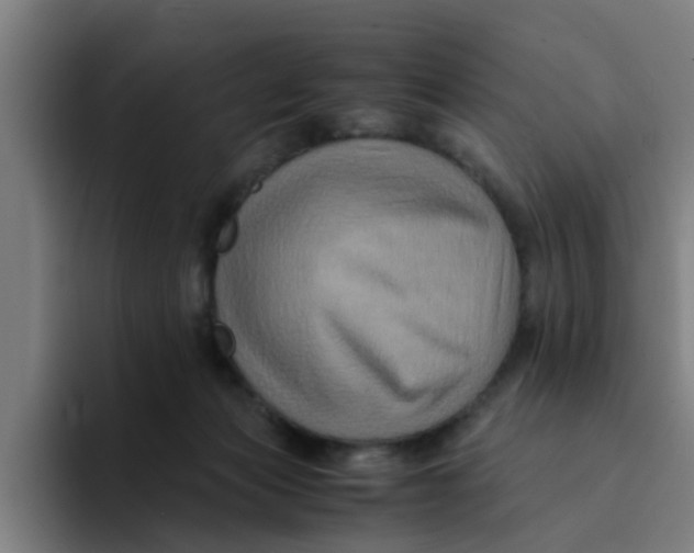 X0000094220173200711161856