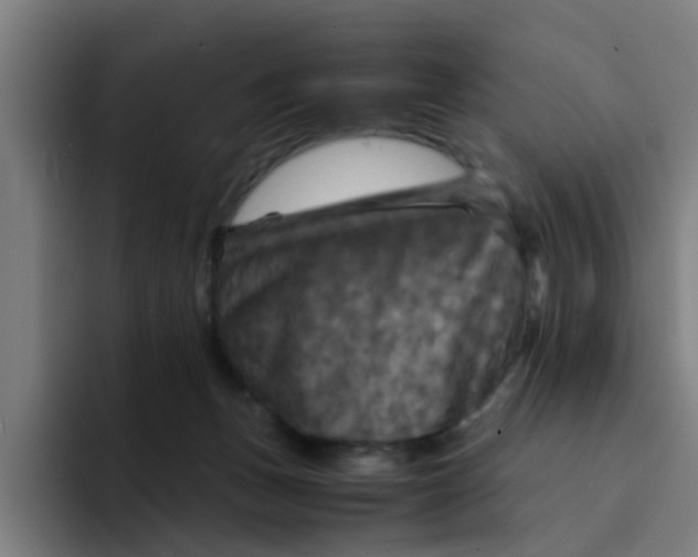 X0000094220175200711161856