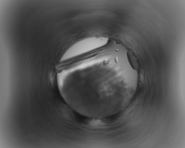 X0000094220177200711161856