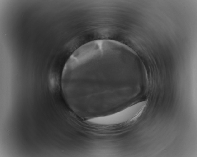 X0000094220178200711161856