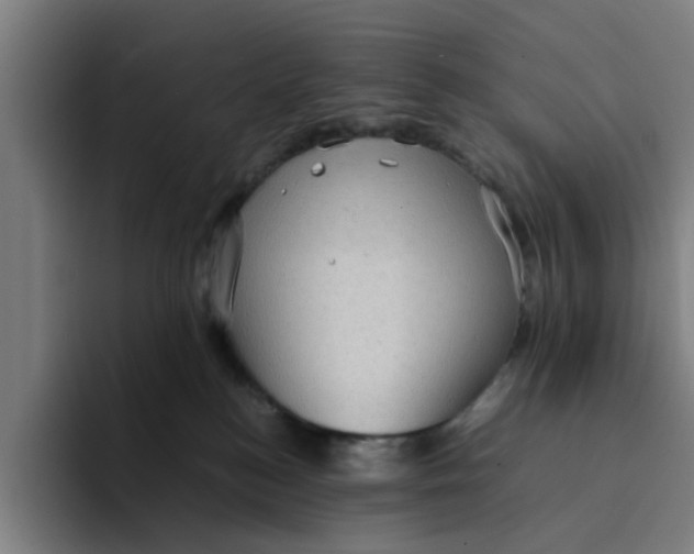 X0000094220184200711161856