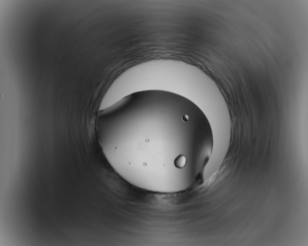 X0000094220188200711161856