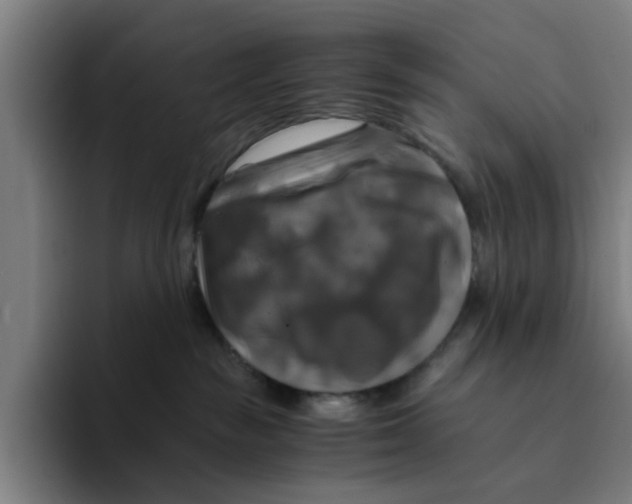 X0000094220189200711161856