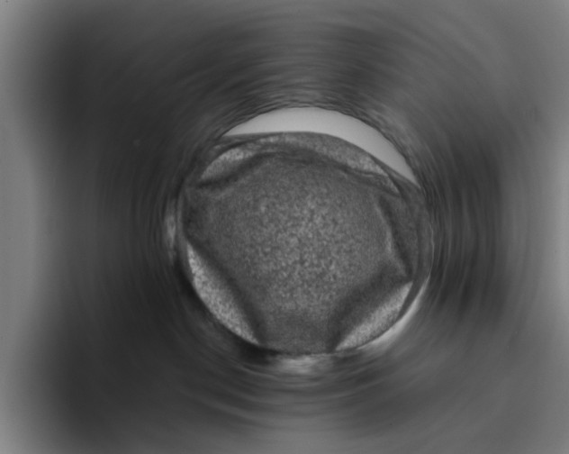 X0000094220190200711161856