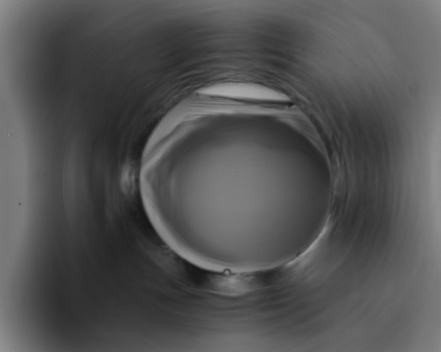 X0000094220191200711161856