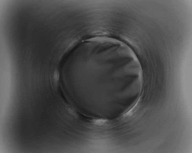 X0000094220192200711161857