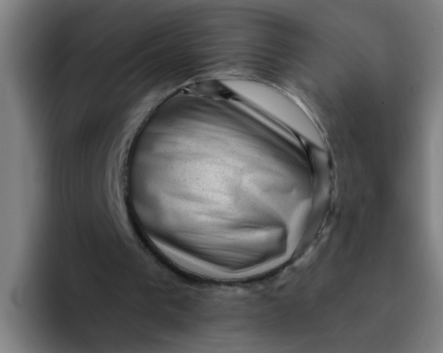 X0000094220193200711161856