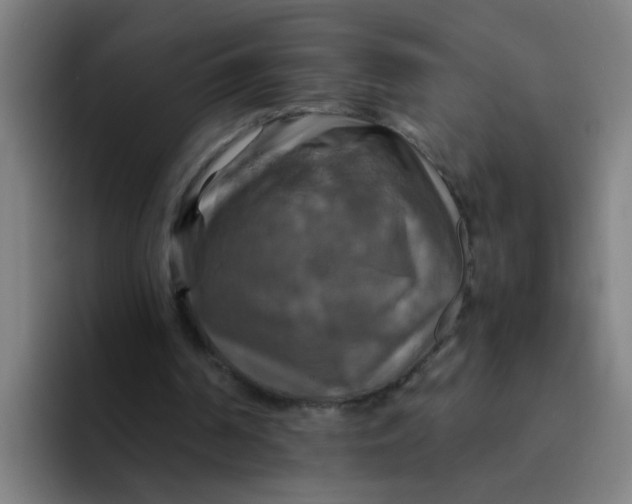 X0000094220194200711161856