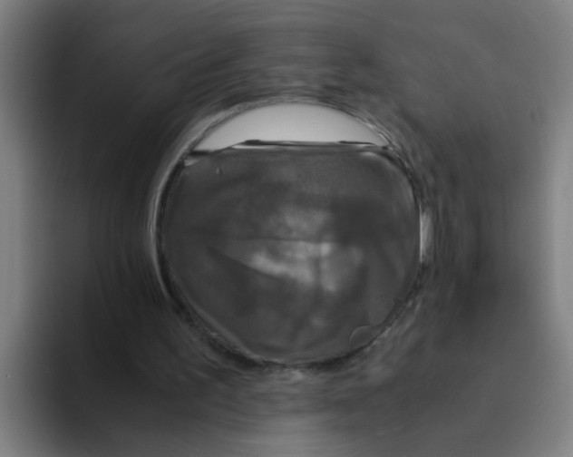 X0000094220195200711161856