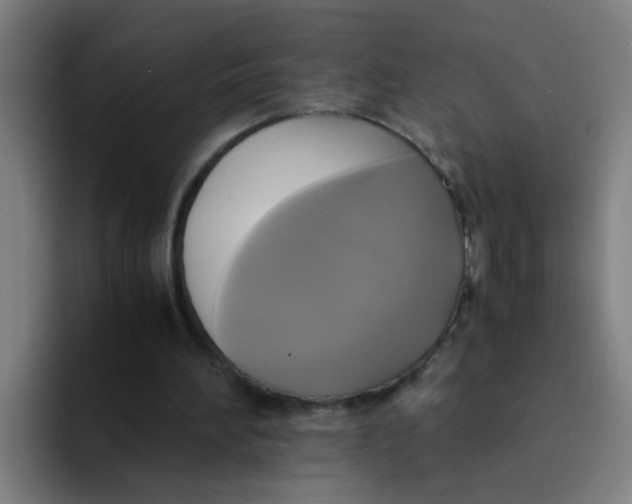 X0000094220196200711161856