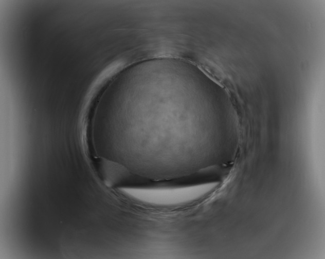 X0000094220197200711161856