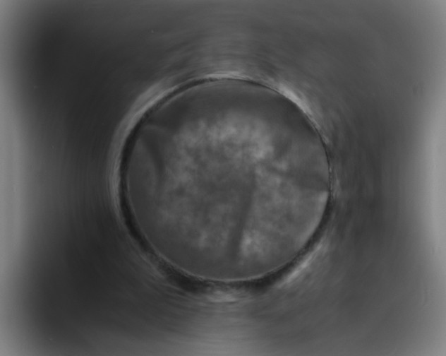 X0000094220199200711161856