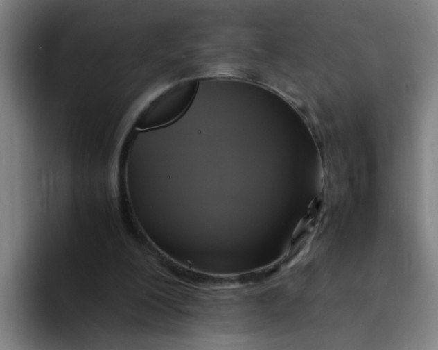 X0000094220200200711161856