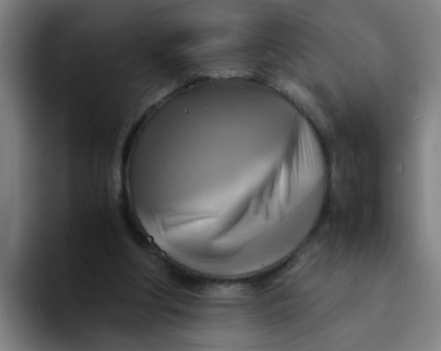 X0000094220202200711161856