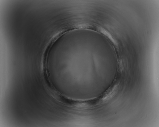 X0000094220203200711161856