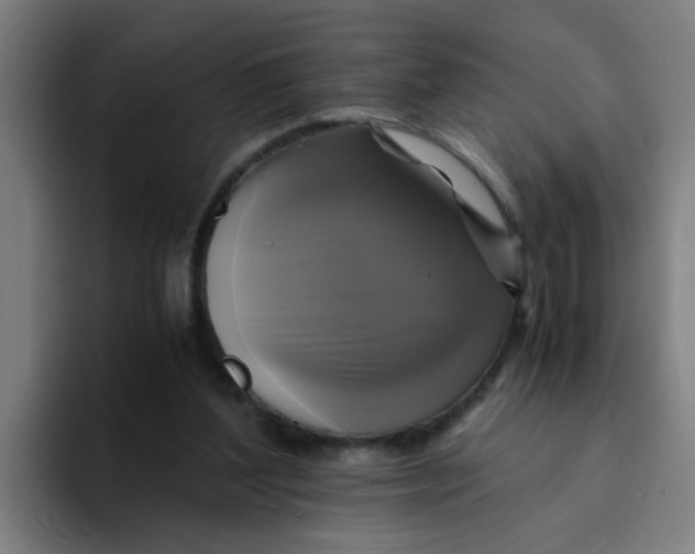 X0000094220204200711161856