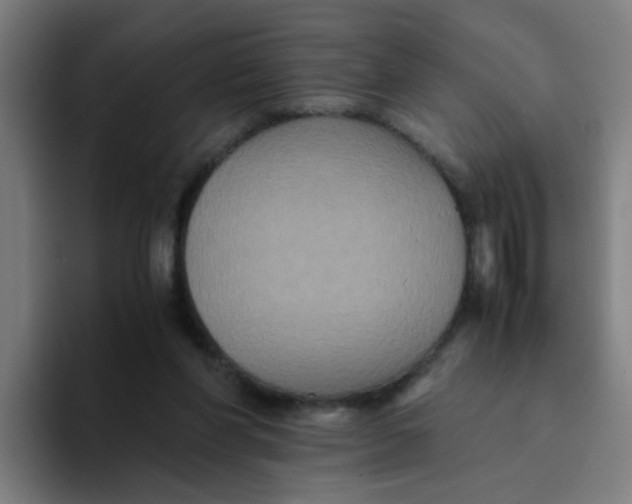 X0000094220206200711161856