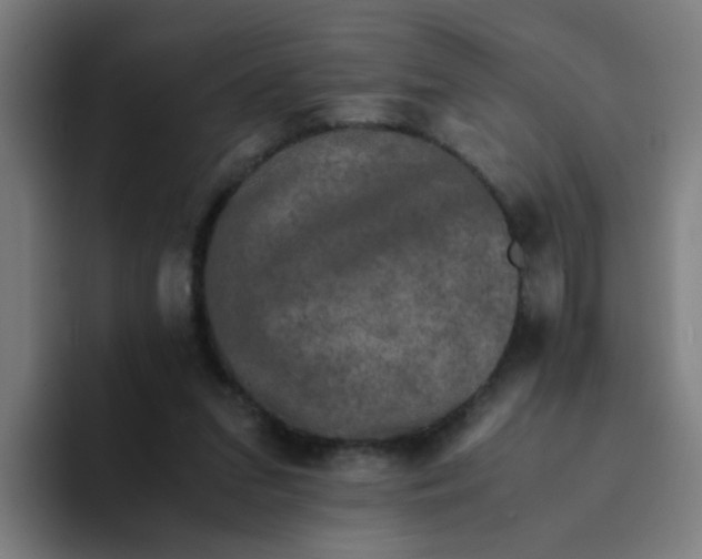 X0000094220207200711161856