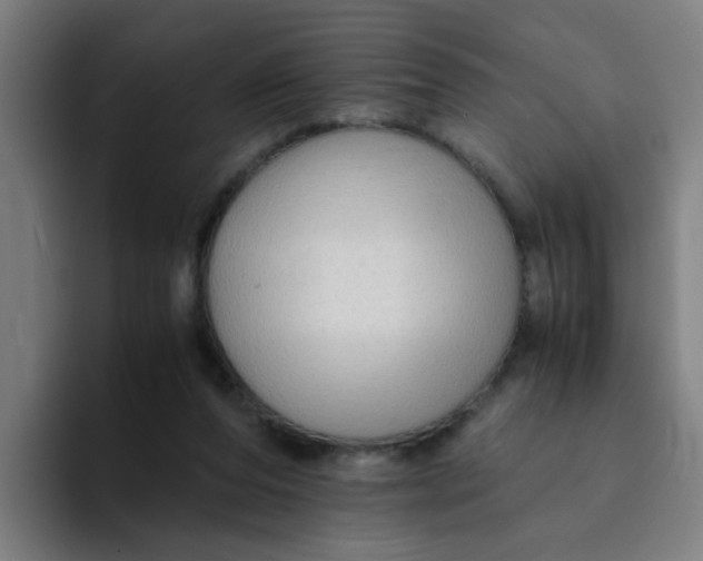 X0000094220208200711161856