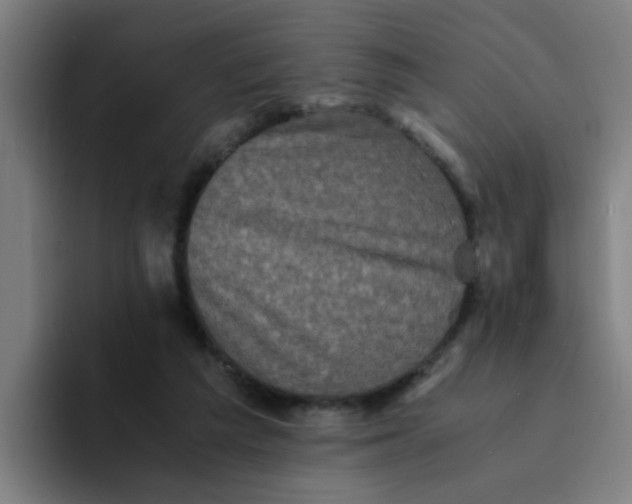 X0000094220209200711161855