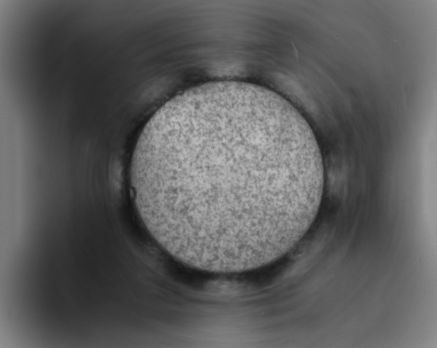 X0000094220211200711161855