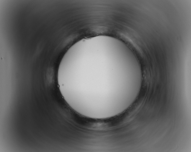 X0000094220212200711161855