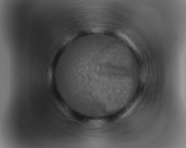 X0000094220213200711161855