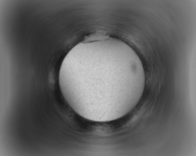 X0000094220215200711161855