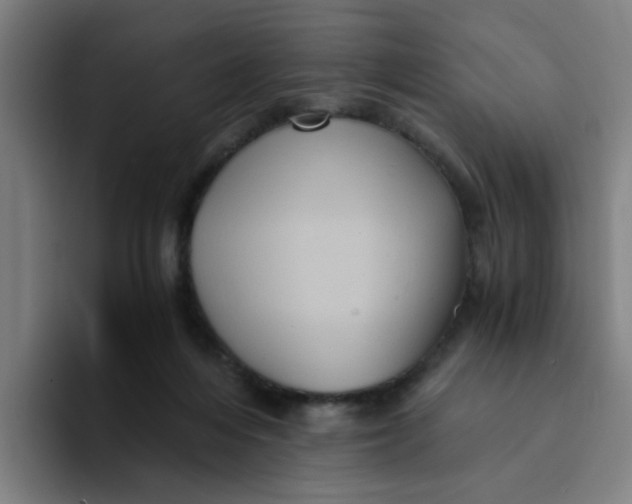 X0000094220216200711161855