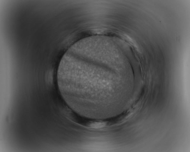 X0000094220217200711161855