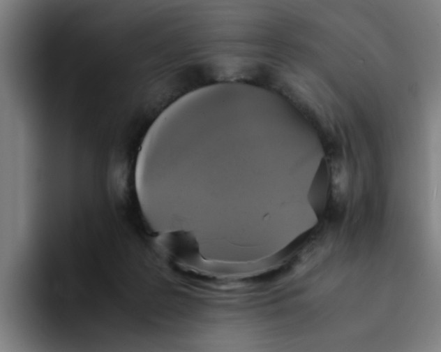 X0000094220219200711161855