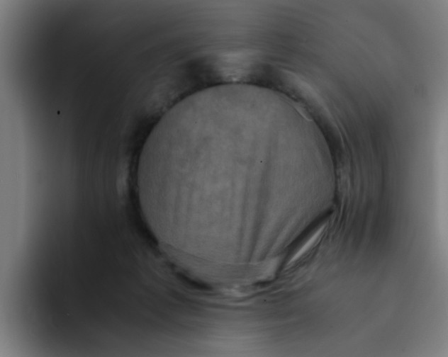 X0000094220221200711161855