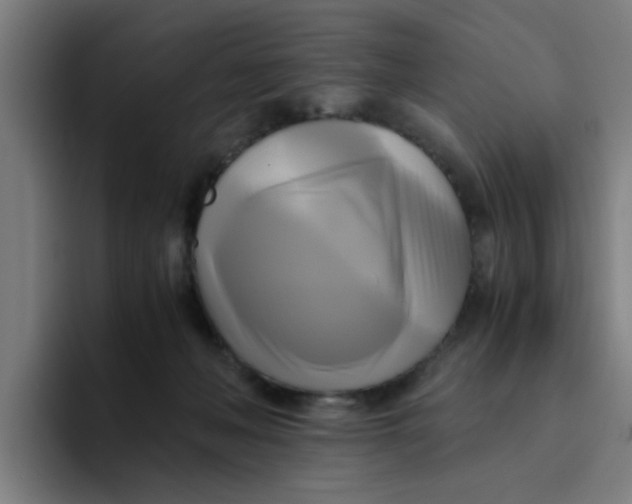 X0000094220222200711161855