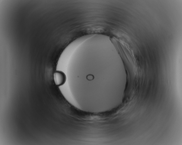 X0000094220224200711161855