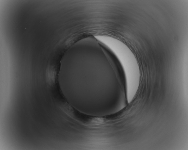 X0000094220227200711161855