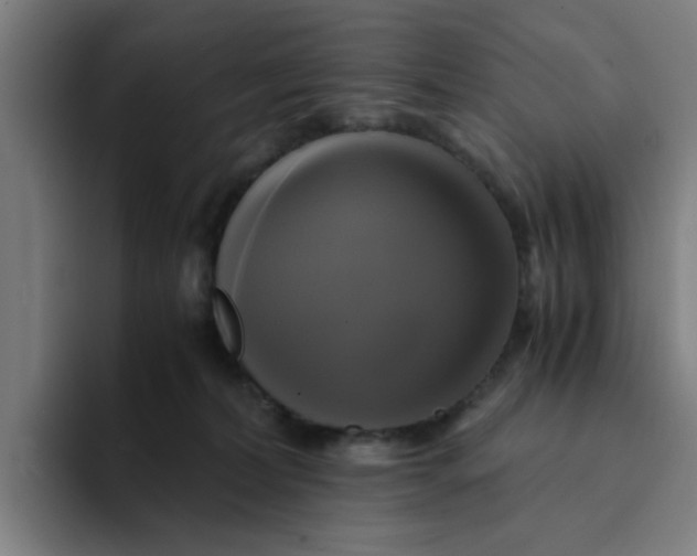 X0000094220228200711161855