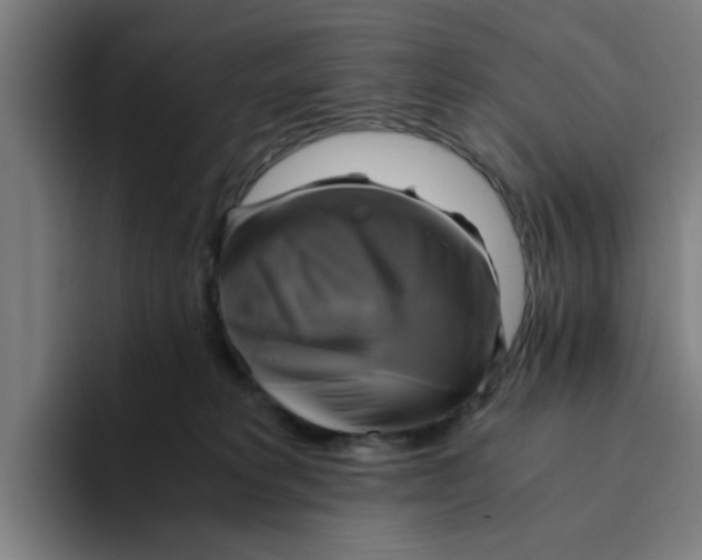 X0000094220229200711161855