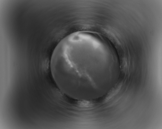 X0000094220230200711161855