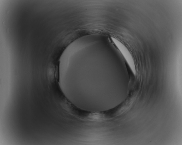 X0000094220231200711161855