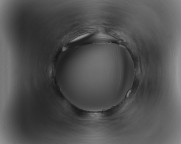 X0000094220233200711161855