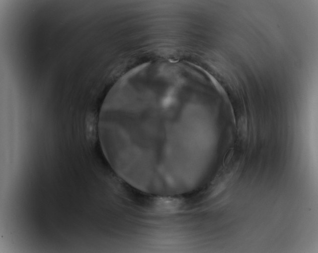 X0000094220234200711161855