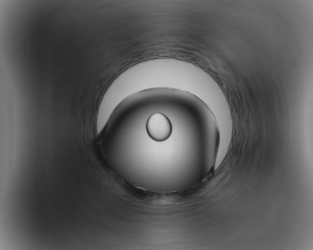 X0000094220235200711161855