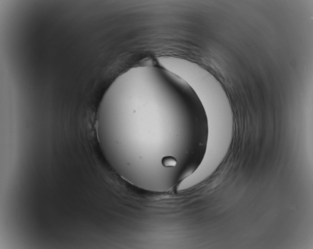 X0000094220237200711161855