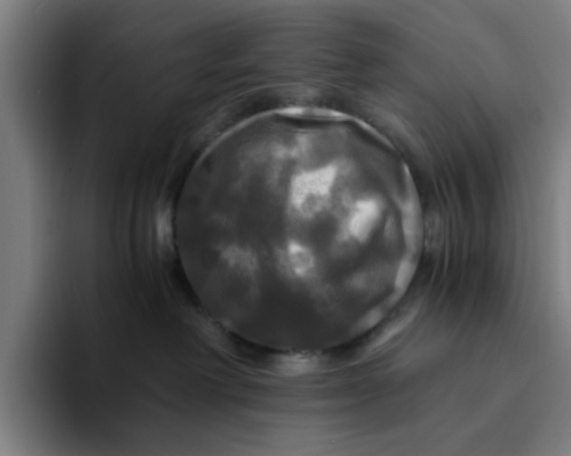 X0000094220238200711161855