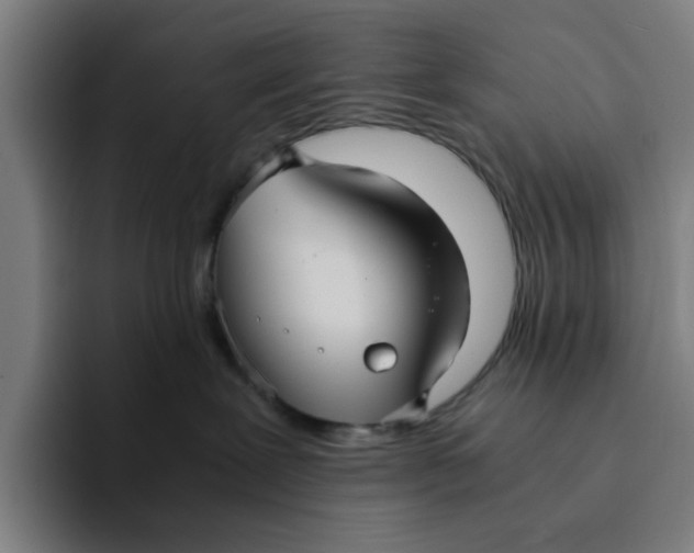 X0000094220239200711161855