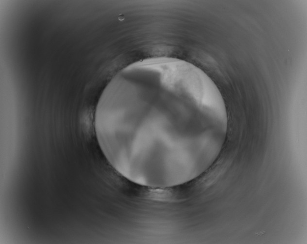 X0000094220240200711161855