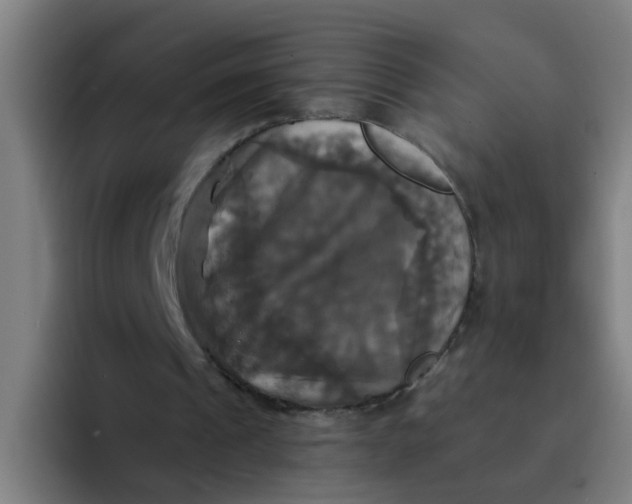 X0000094220241200711161854