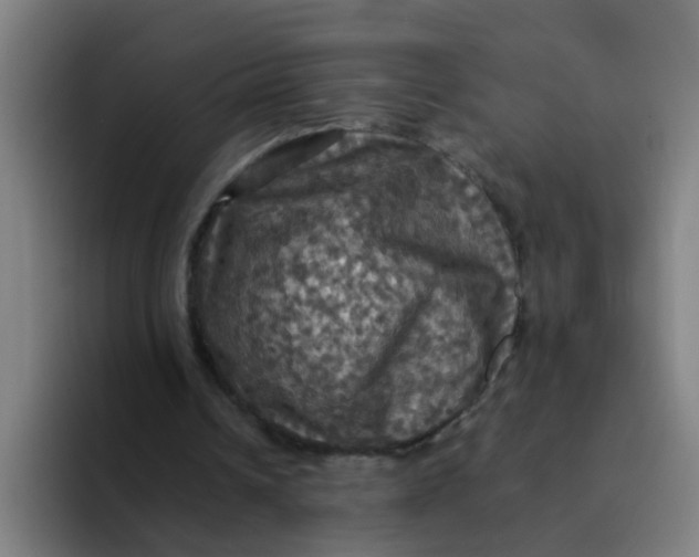 X0000094220242200711161854