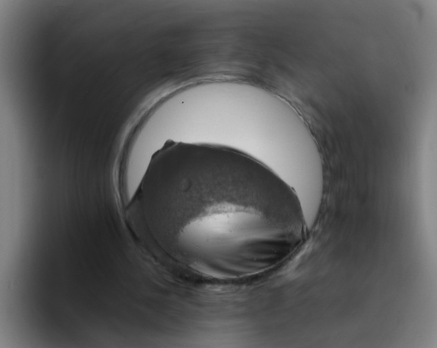 X0000094220244200711161855