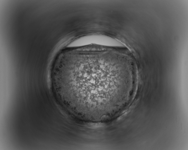 X0000094220245200711161855